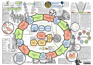 Bionischer Funktionsplan für Organisationen Version 1.10